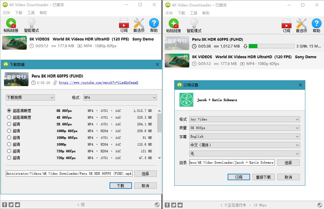 4K Video Downloader v4.20.1 4K视频下载器-小女子资源网